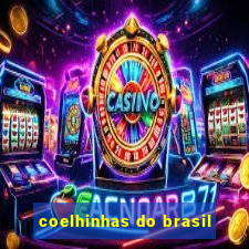 coelhinhas do brasil